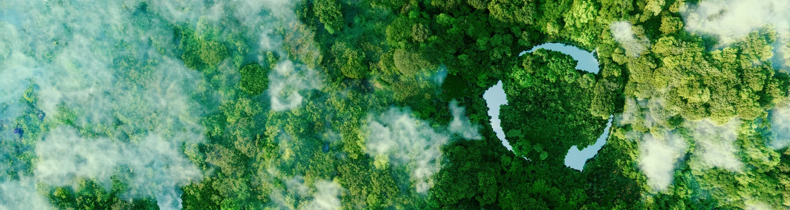Sustainability at Alyors | Our Commitment to a Greener Future