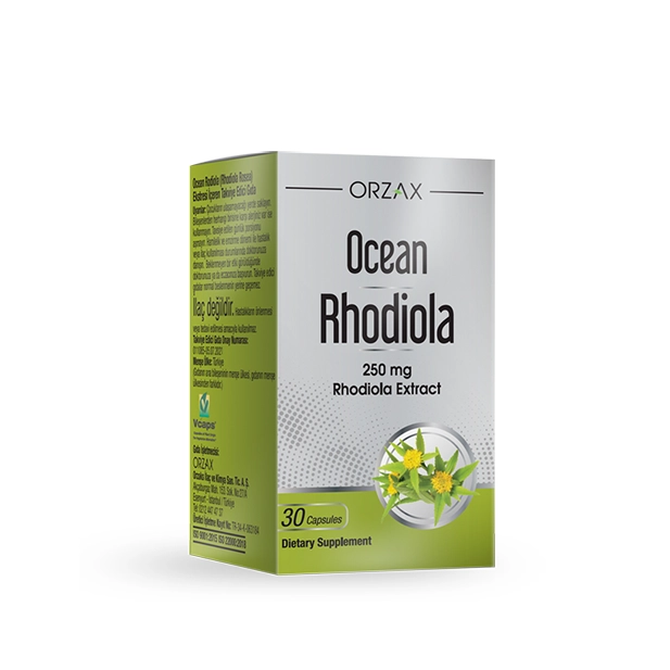 Private Label Rhodiola Rosea Capsules Manufacturer - Ocean